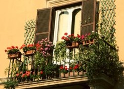 Украшаем балкон цветами